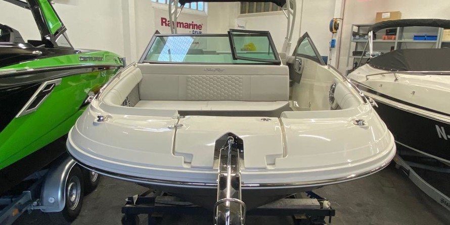 Sea Ray SDX 250