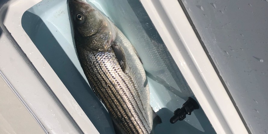 Parker 1801 Center Console