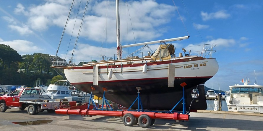 Tayana 37
