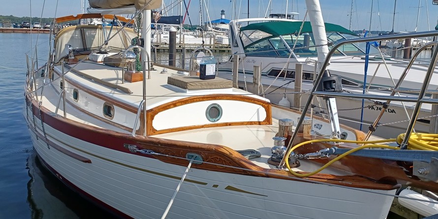 Tayana 37