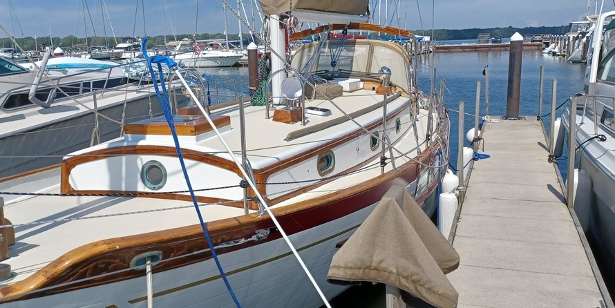 Tayana 37