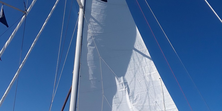 Tayana 37