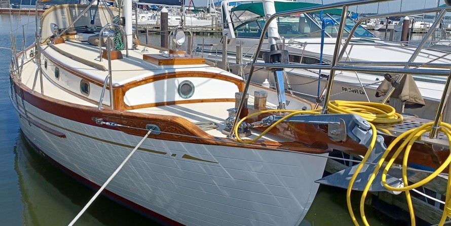 Tayana 37
