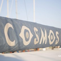 Cosmos