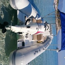 Sportline 520