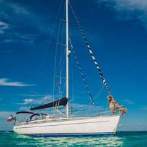 Bavaria 44