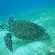 Fountaine Pajot Astréa 42