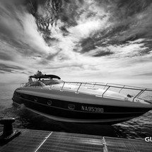Alfamarine 47