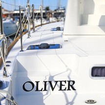 Lagoon 450