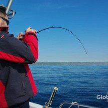 Jeanneau Cap Camarat 7.5 CC