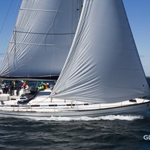 Bavaria 44