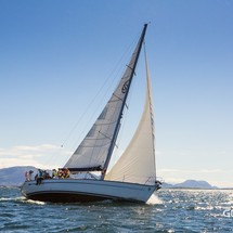 Bavaria 44