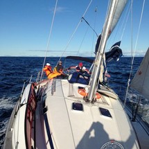 Bavaria 44