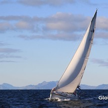 Bavaria 44