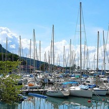 Kelt White Shark 226