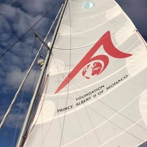 Lagoon 421