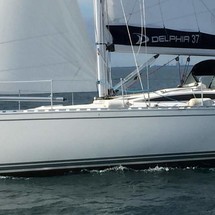 Delphia 37