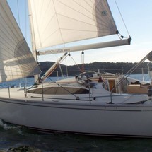 Delphia 37