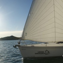 Delphia 37