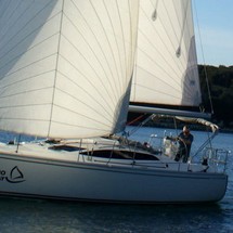 Delphia 37