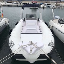 Predator 570