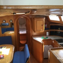 Alliaura Marine Feeling 446