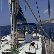 Alliaura Marine Feeling 446