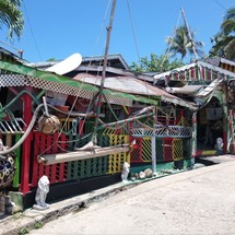 Alliaura Marine Feeling 446