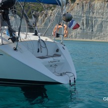 Alliaura Marine Feeling 446