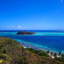 Alliaura Marine Feeling 446