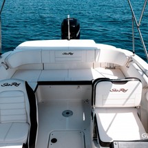 Sea Ray SPX 210