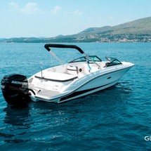 Sea Ray SPX 210