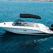 Sea Ray SPX 210