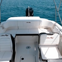 Sea Ray SPX 210