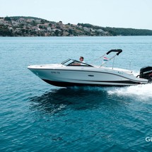 Sea Ray SPX 210
