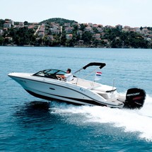 Sea Ray SPX 210