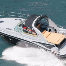 Viper 303 Open