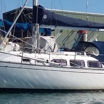 Ranger 33