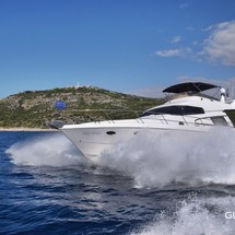 Johnson 56