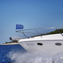 Johnson 56