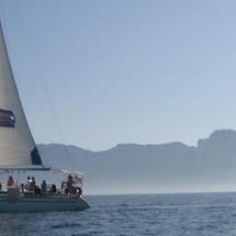 Bavaria 47 Cruiser