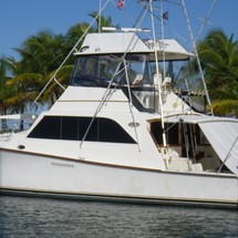 Ocean yachts 48 super sport