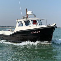 Mitchell sea warrior 27