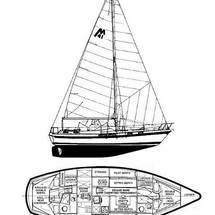 Morgan out island 41