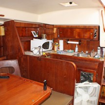 Morgan out island 41