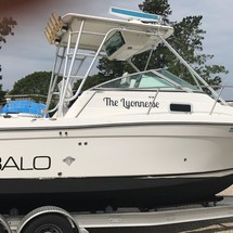 Robalo 2640 walkaround