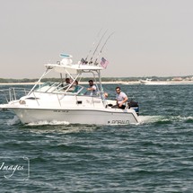 Robalo 2640 walkaround