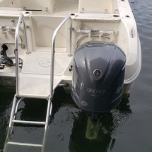 World cat 250 dc