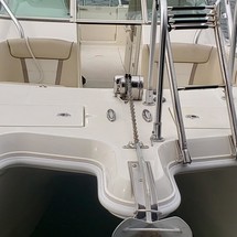 World cat 250 dc