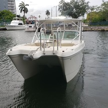 World cat 250 dc